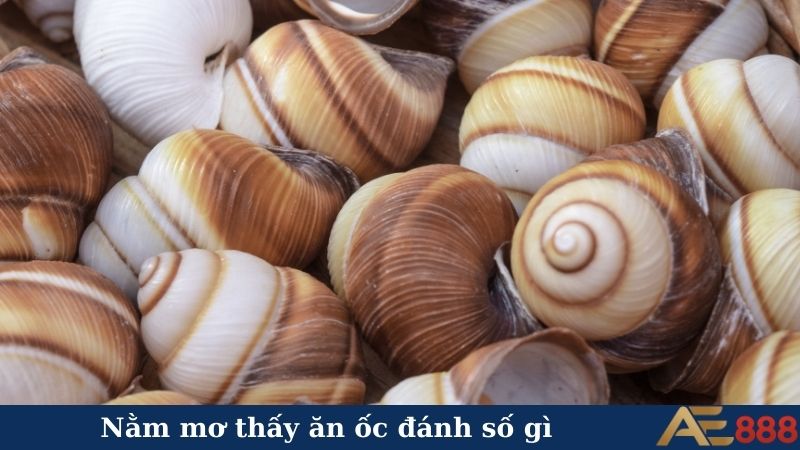 Nằm mơ thấy ăn ốc đánh số gì? Xem ngay để đổi đời 4 Nằm mơ thấy ăn ốc báo hiệu điều gì?