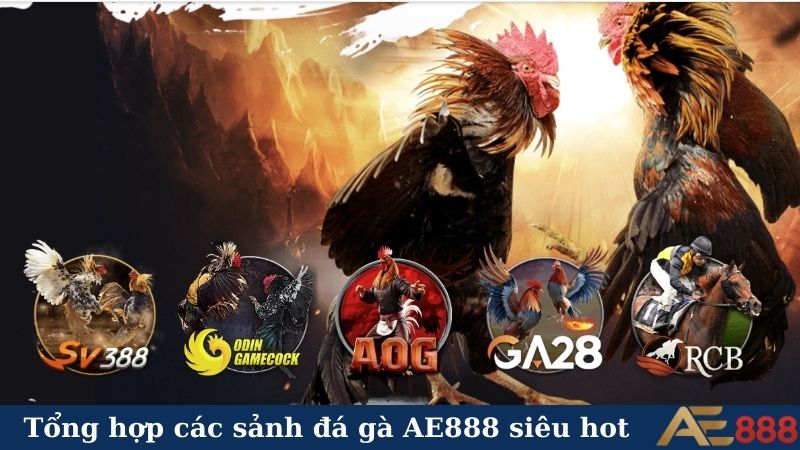 "Cháy" lớn cùng sảnh đá gà AE888 - Kịch tính từng giây! 5 Tổng hợp các sảnh đá gà AE888 siêu hot